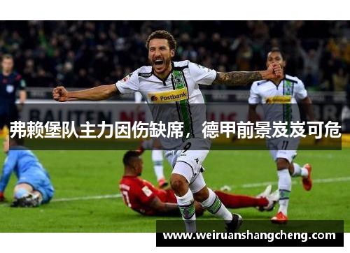 弗赖堡队主力因伤缺席，德甲前景岌岌可危