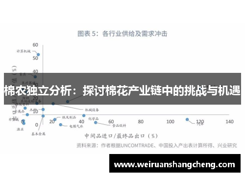 棉农独立分析：探讨棉花产业链中的挑战与机遇