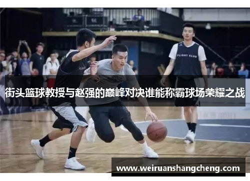 街头篮球教授与赵强的巅峰对决谁能称霸球场荣耀之战