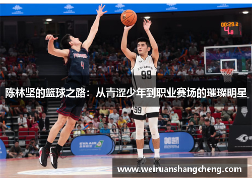 陈林坚的篮球之路：从青涩少年到职业赛场的璀璨明星