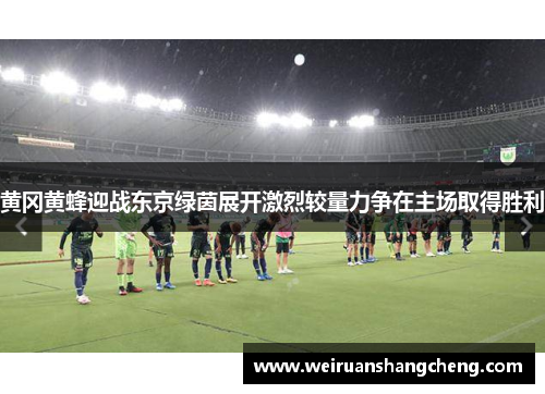 黄冈黄蜂迎战东京绿茵展开激烈较量力争在主场取得胜利